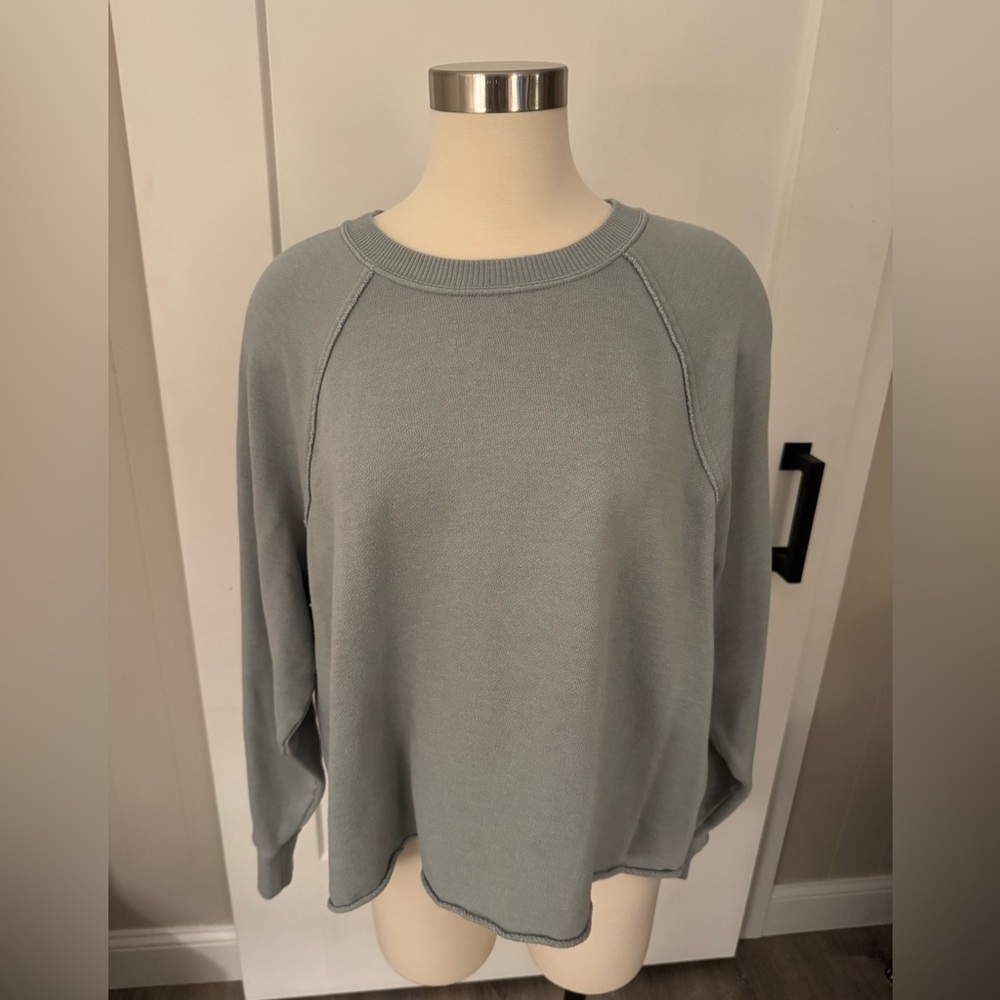 Aerie Sage Green/Gray Cropped Crewneck
